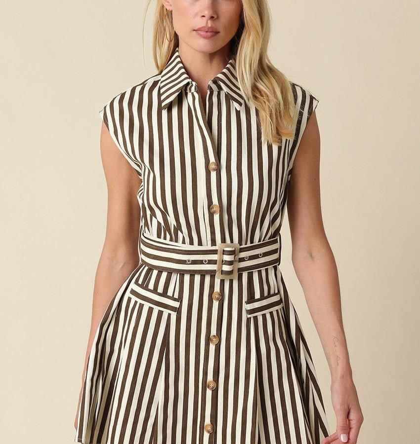 Ashley Belted Striped Dress